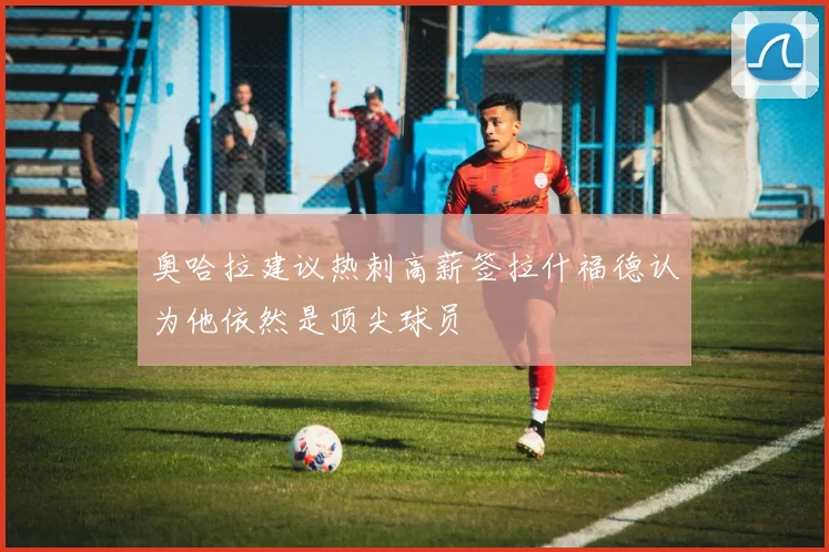 奥哈拉建议热刺高薪签拉什福德认为他依然是顶尖球员